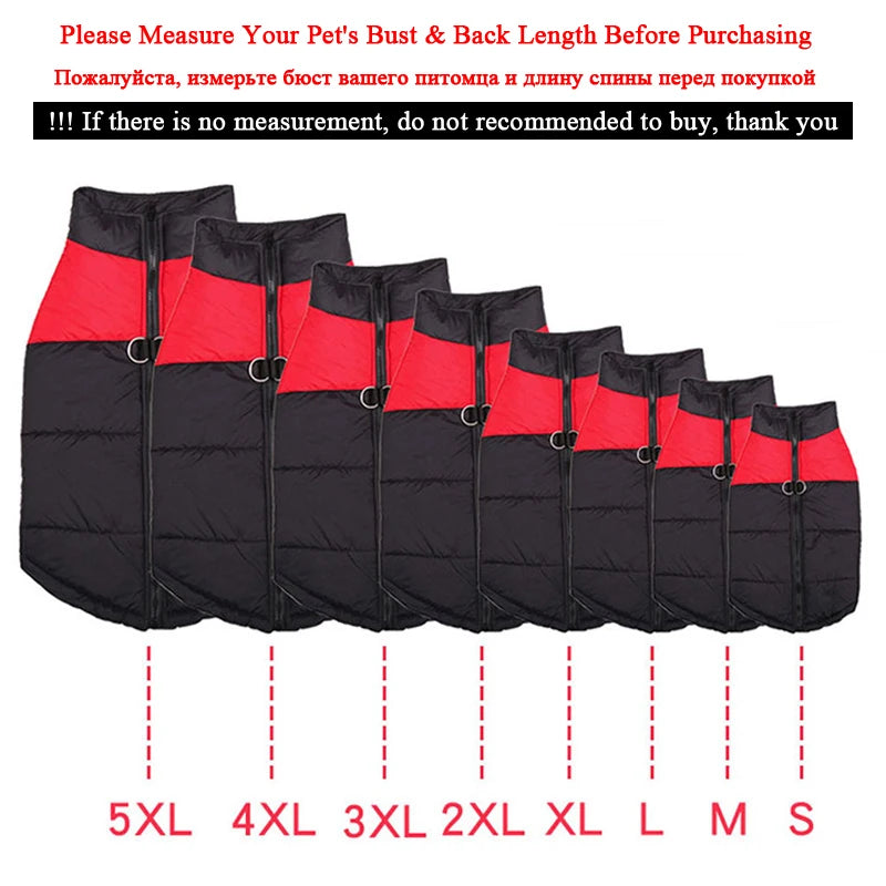 Manteaux imperméables pour chien